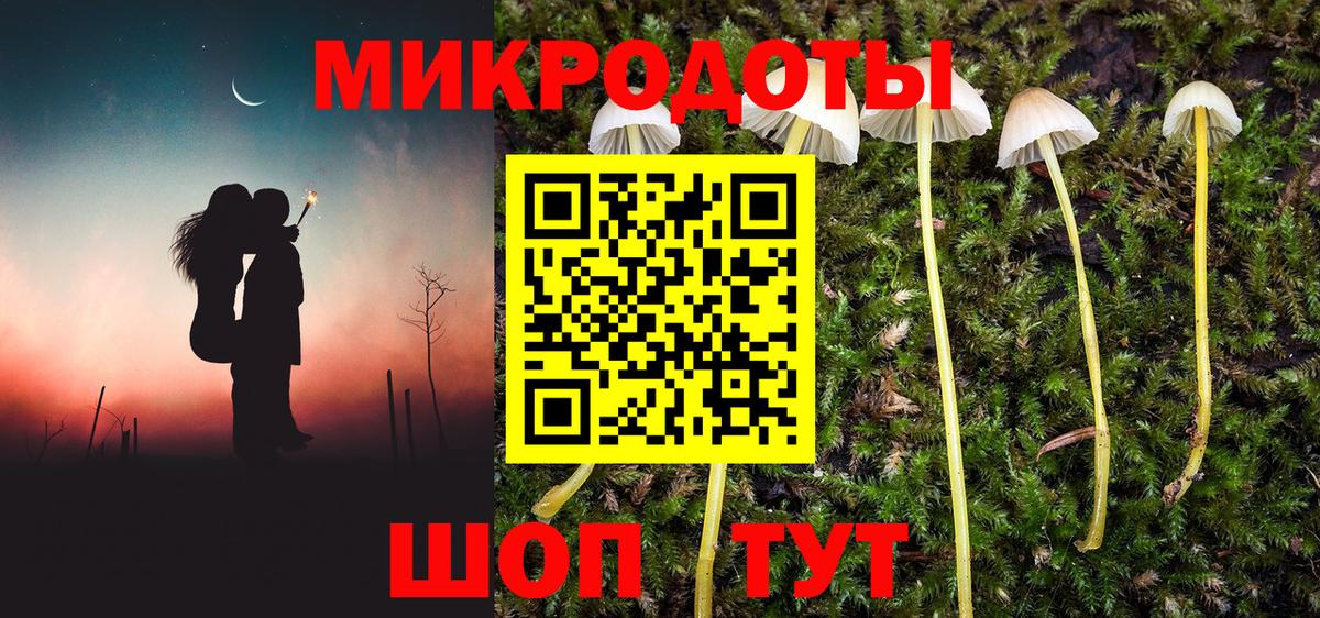 Соль-Илецк  Галлюциногенные грибы прущие грибы  купить   Вход с VPN 