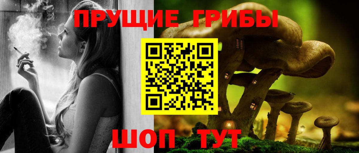 Галлюциногенные грибы прущие грибы Соль-Илецк